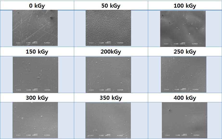 SEM micrographs of water vapor treated 90% SF/PLGA films: a) 0 kGy; b) 50 kGy; c) 100 kGy; d) 150 kGy; e) 200 kGy; f) 250 kGy; g) 300 kGy; e) 350 kGy and f) 400 kGy, respectively.