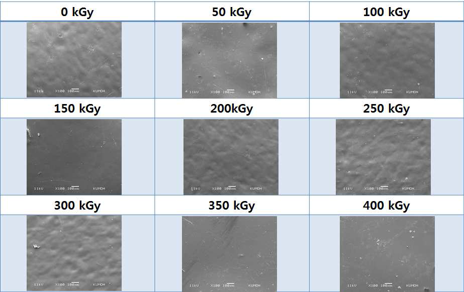 SEM micrographs of water vapor untreated 100% SF films: a) 0 kGy; b) 50 kGy; c) 100 kGy; d) 150 kGy; e) 200 kGy; f) 250 kGy; g) 300 kGy; e) 350 kGy and f) 400 kGy, respectively.