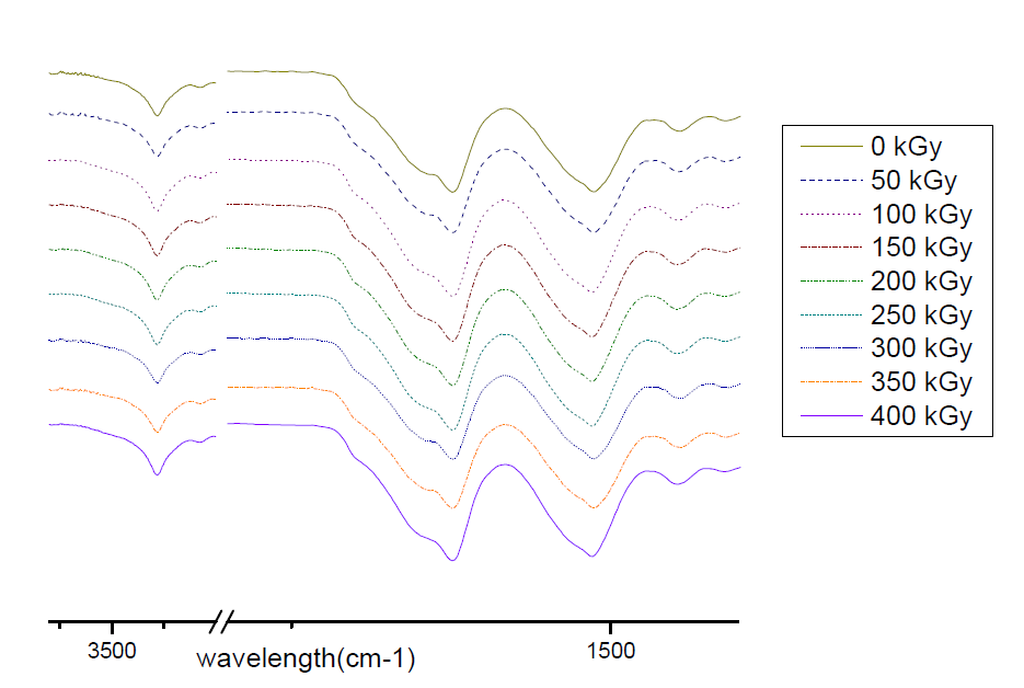 ATR-FTIR spectra of water vapor treated 100% SF films irradiated with various electron beam doses.