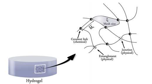 A cross-linked hydrogel structure with the mesh size ξ and the average molecular weight between the cross-linking points , respectively.