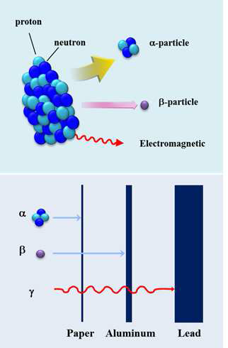 Difference of transmittance depth along the various radiation types.