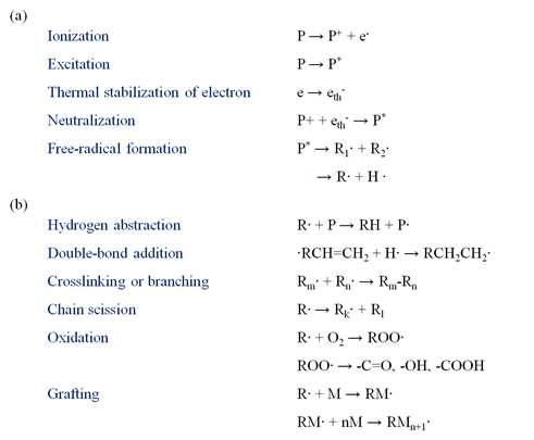 Radiation chemistry of polymers: (a) primary processes, (b) secondary reactions (P: polymer, R: radical, M: monomer).