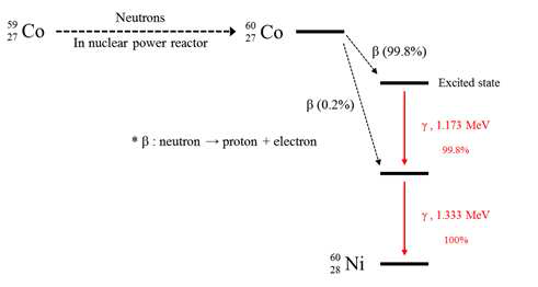 Radioactive decay of 60Co.