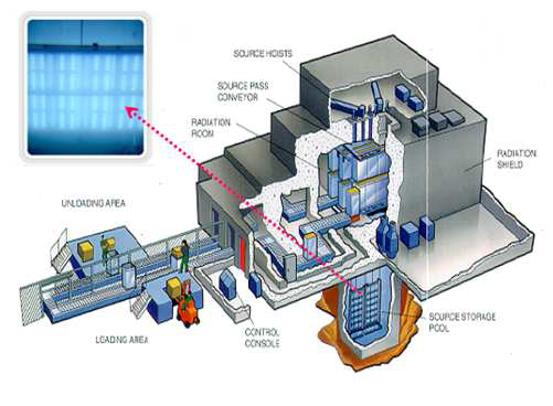 Layout of typical wet storage ɤ -ray irradiation facility.