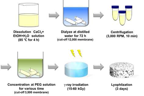 Preparation procedure of SF hydrogel.