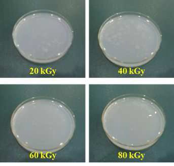 Photographs of SF solution after electron-beam irradiation.