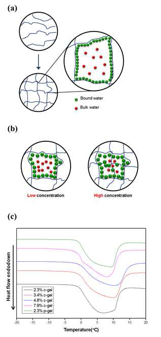 Effect of SF concentration on state of water in SF hydrogels.