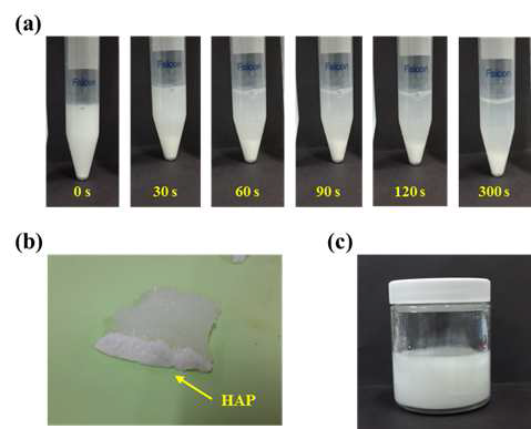 Photographs of (a) HAP dispersibility in SF solution, (b) SF/HAP hydrogel with low dispersibility, and (c) 2 wt% hyaluronic acid (HA)/HAP solution.