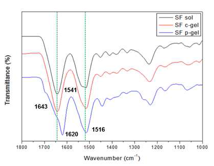 ATR-IR spectra of SF solution, C-gel (60 kGy), P-gel (prepared at 37℃ ).