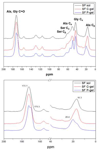 NMR spectra of SF solution, C-gel (60 kGy), P-gel (prepared at 37℃ ).