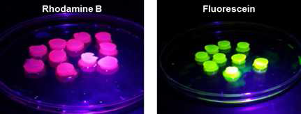 Photographs of model drug loaded SF hydrogels.