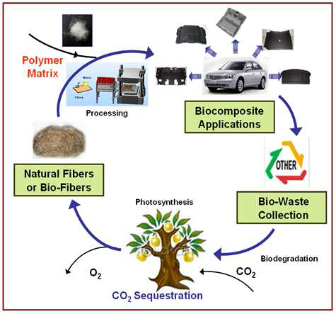 Life cycle of biocomposites with natural fibers and their reduction of carbon dioxide in nature. of carbon dioxide in nature.