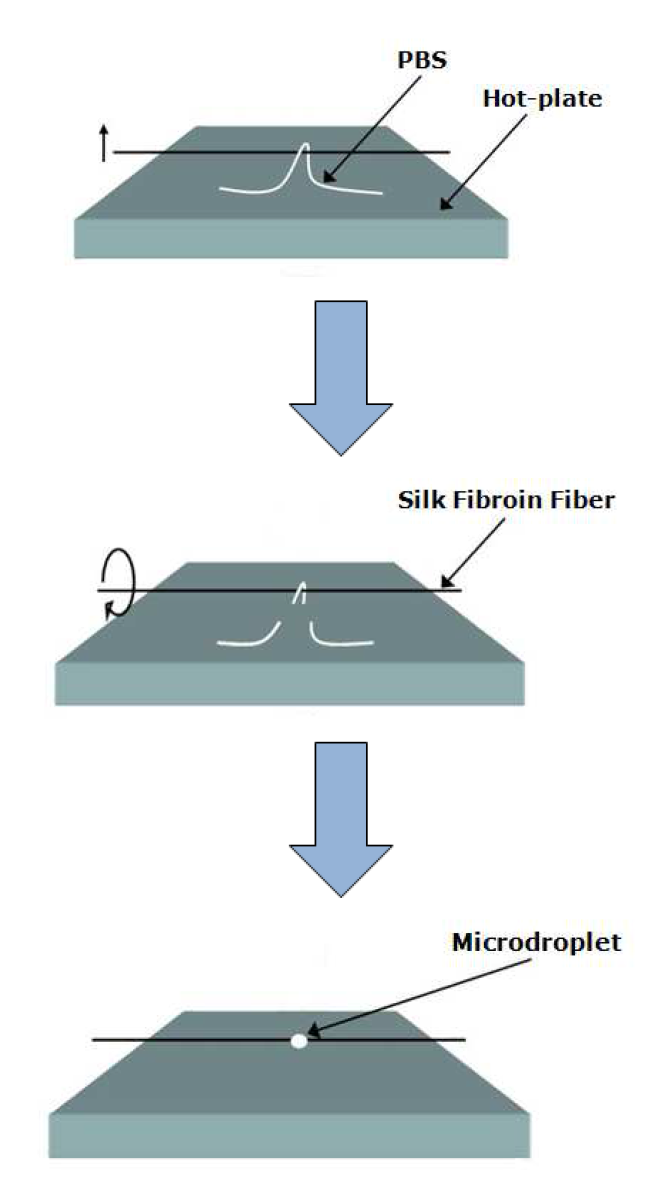 Schematic illustration of the experimental procedure for making a PBS microdroplet around the single natural fiber surface.