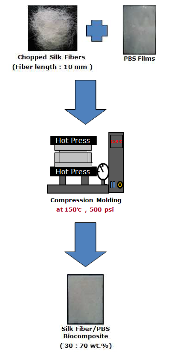 Fabrication procedure of worm silk/PBS biocomposite and silk fibroin/PBS biocomposites by a compression molding method. fibroin/PBS biocomposites by a compression molding method.