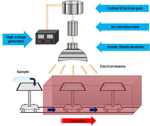 Schematic of electron beam process used in the present work.