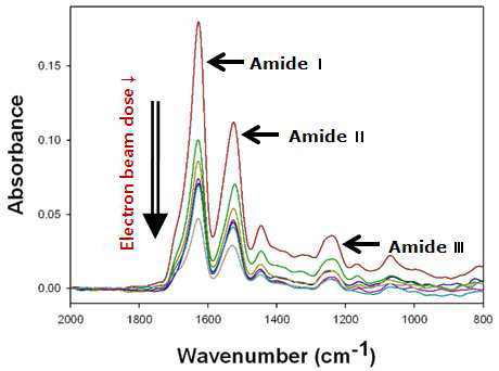 ATR-FTIR spectra of silk fibroin fibers.