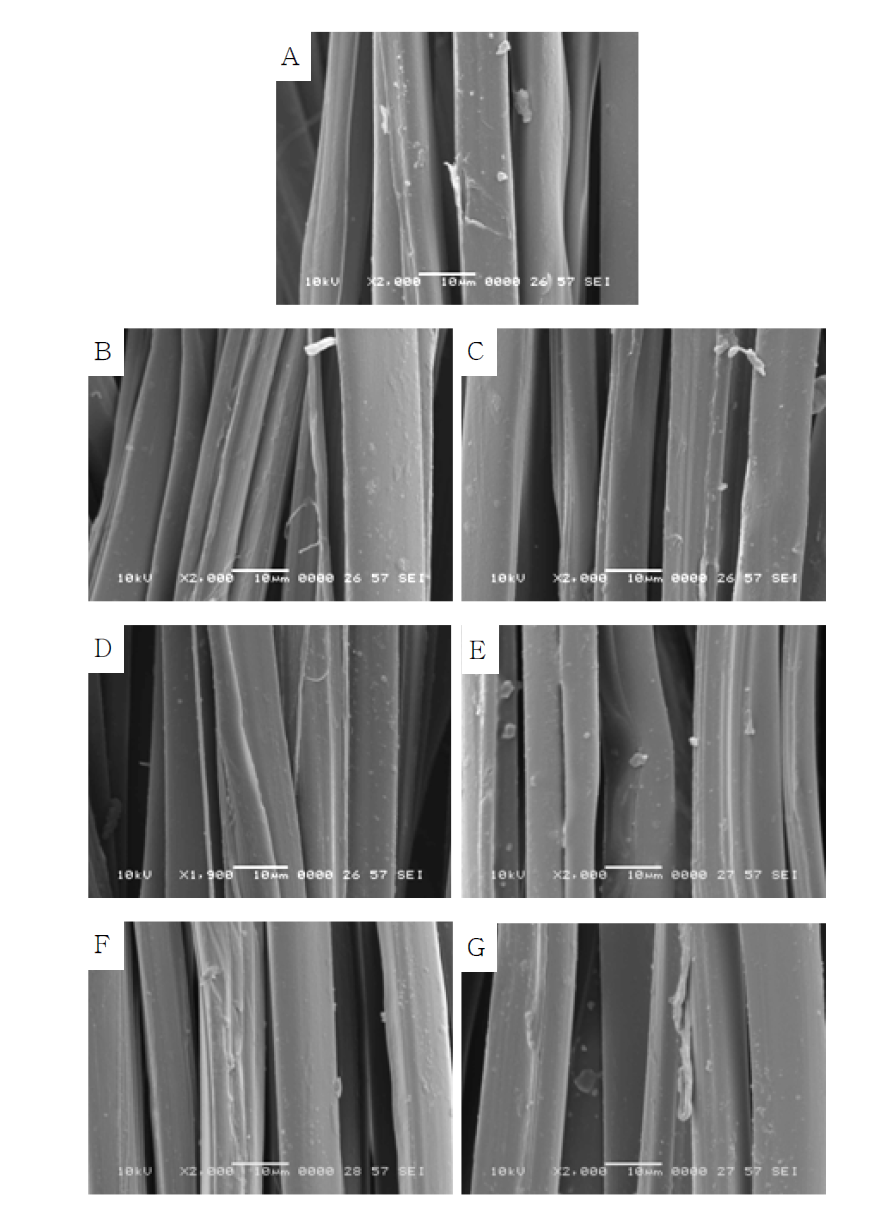 SEM micrographs of silk fibroin fibers irradiated at various absorption doses: (A) 0 kGy, (B) 5 kGy, (C) 10 kGy, (D) 20 kGy, (E) 30 kGy, (F) 50 kGy, (G) 100 kGy.