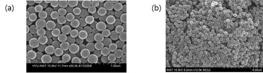 합성된 (a) 실리카 입자 와 (b) TiO2 입자의 SEM 이미지