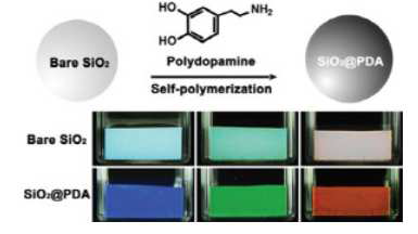 Polydopamine 코팅을 통한 photonic crystal의 광학특성 구현