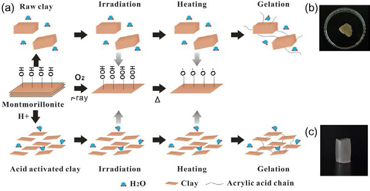 (a) Clay 입자(Montmorillonite)를 이용한 하이드로겔 합성 메커니즘, (b) Acid 처리를 하지 않은 Clay 입자를 활용한 하이드로겔, (c) Acid 처리를 한 Clay 입자를 활용한 하이드로겔25).