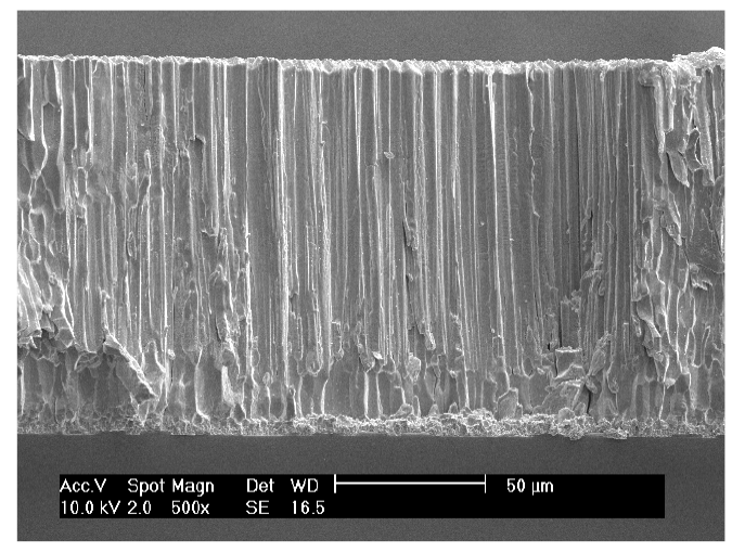 Columnar structure type 섬광체- CsI(Tl)