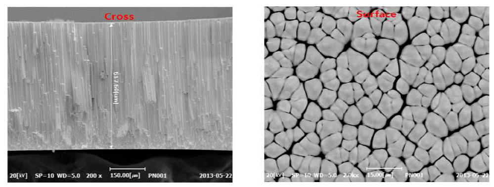 500μm 섬광체 (1차) SEM 사진