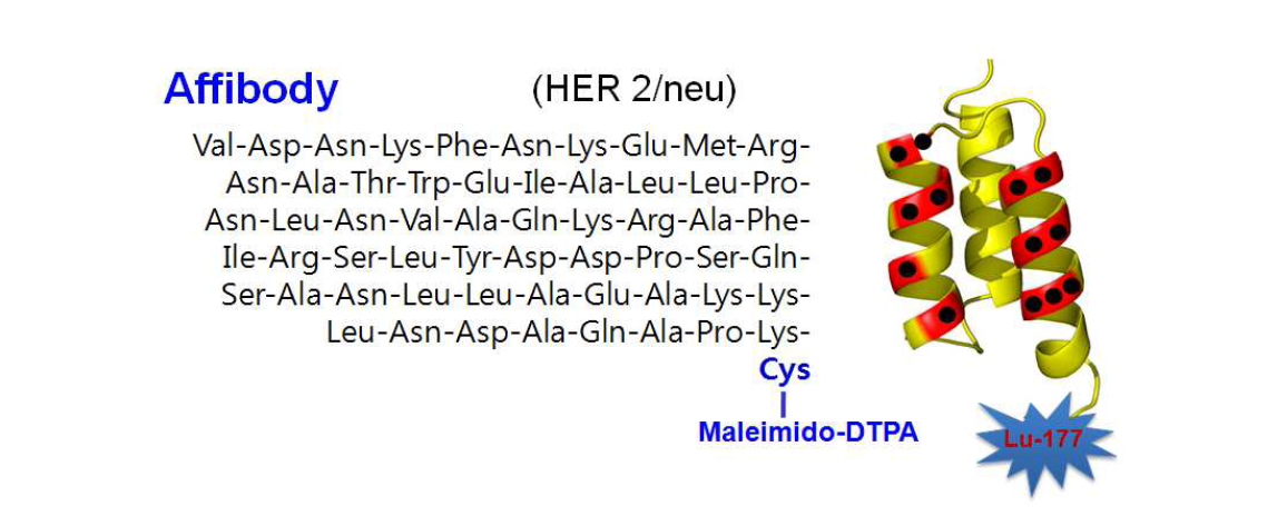 DTPA-Maleimido-Anti-HER2 Protein Sequence