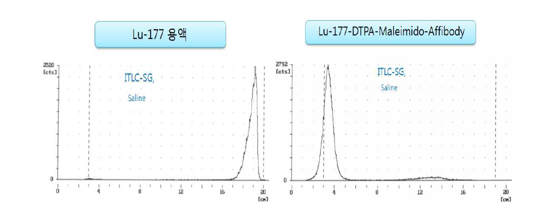 Lu-177 표지 DOTA-Maleimido-Anti-HER2 Protein>