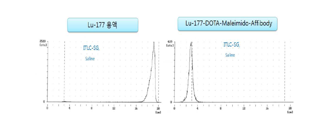 Lu-177 표지 DOTA-Maleimido-Anti-HER2 Protein