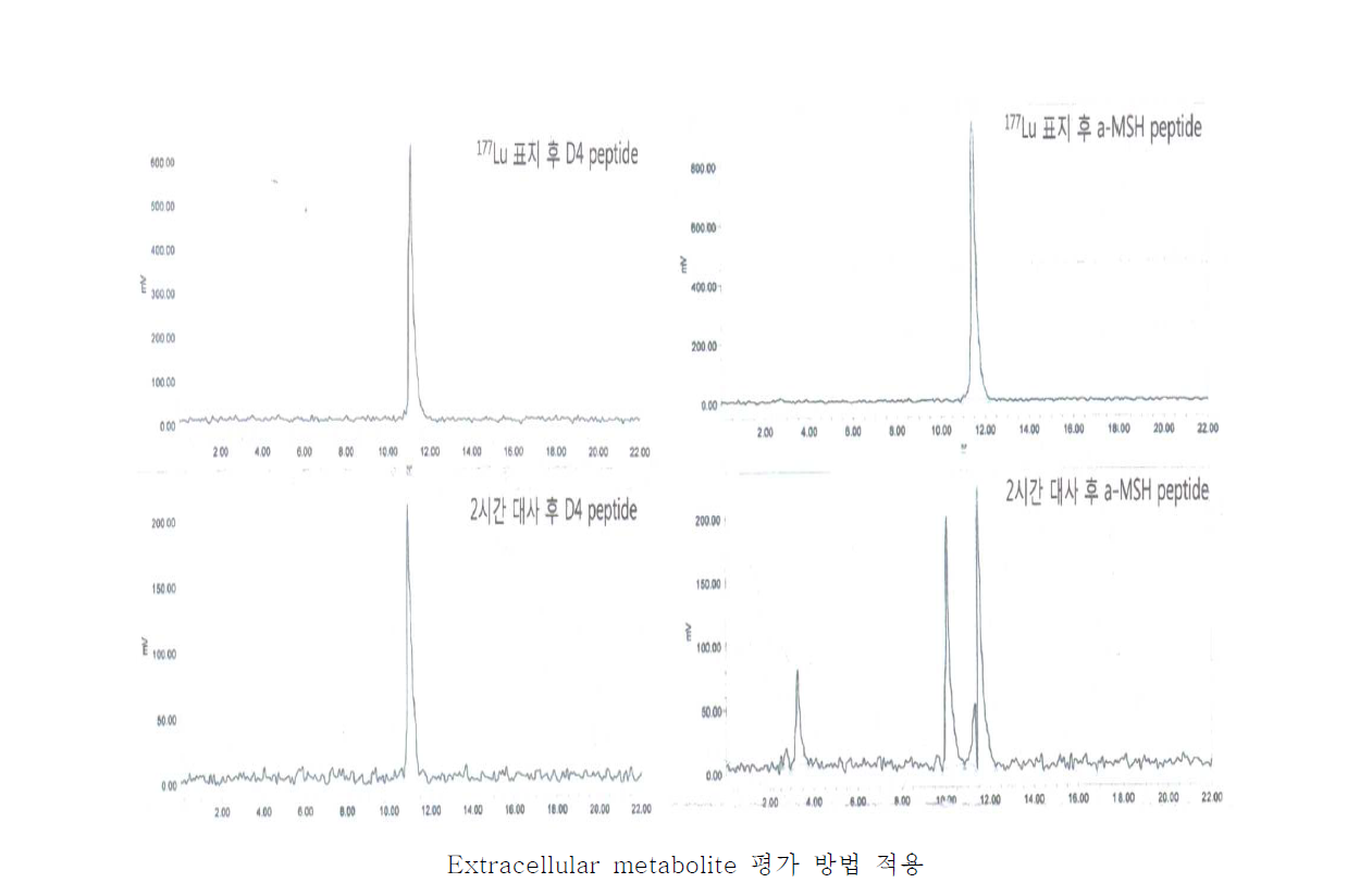 방사성표지화합물 대사체 분석을 위한 샘플처리후 HPLC 분석 결과