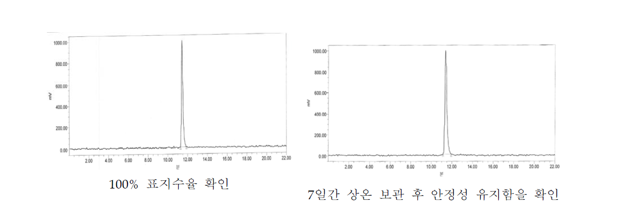 1Ci Lu-177-DOTA-TATE 표지 및 안정성 평가