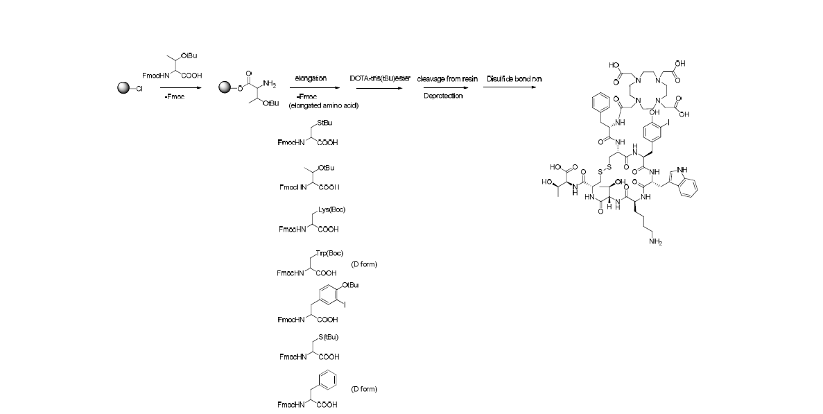 DOTA-(3-Iodo-Tyr3)-SOM 합성 절차