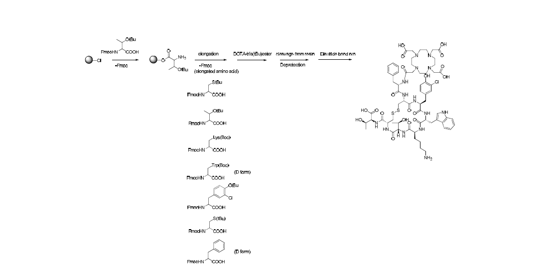 DOTA-(3-Chloro-Tyr3)-SOM 합성 절차