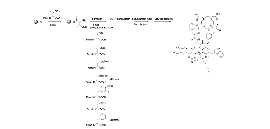 DOTA-(3-Fluoro-Tyr3)-SOM 합성