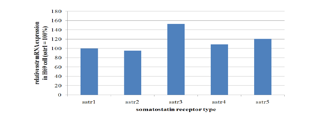 NCI-H69 폐암 세포의 소마토스타틴 수용체 mRNA 발현