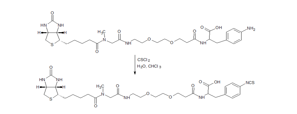 Biotin-Sar-miniPEG?Phenylalanine-isothiocyante(NCS)의 합성 절차