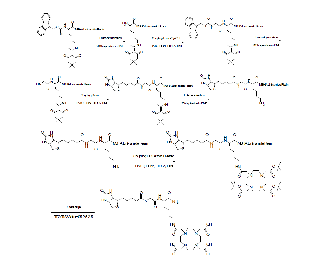 Biotin-GK(DOTA)-NH2의 합성 과정