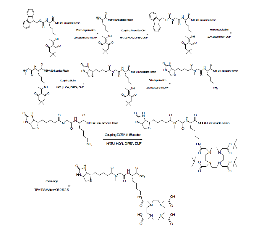 Biotin-Sar-K-(DOTA)-NH 의 합성 과정