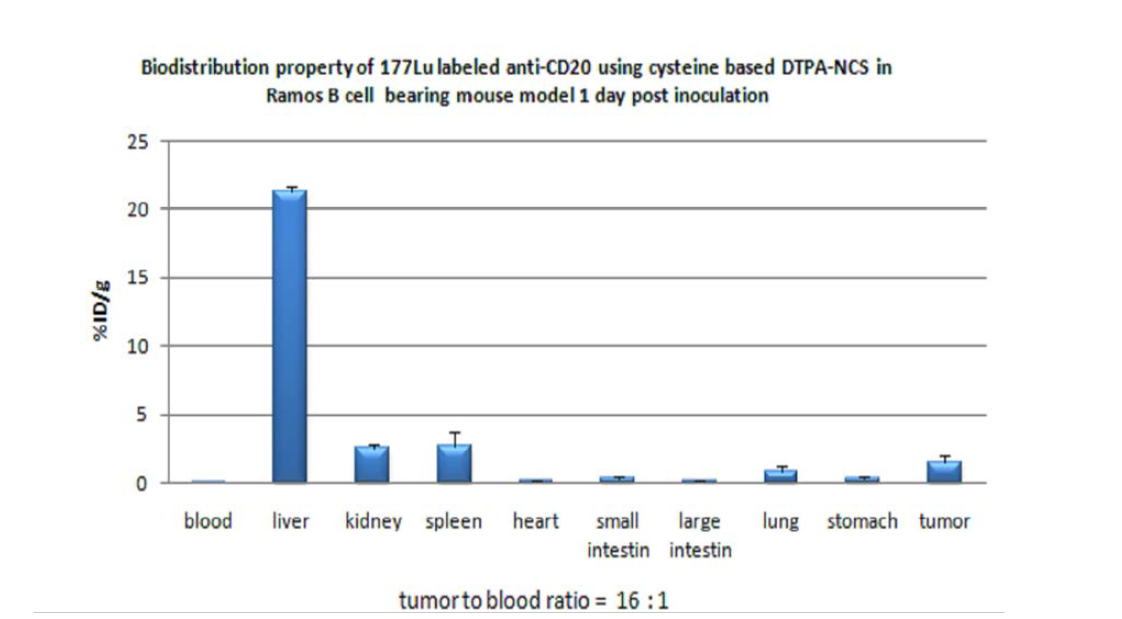 Lu-177-CysDTPA-anti CD20 항체의 Ramos-B 림프종 동물 모델 체내 분포
