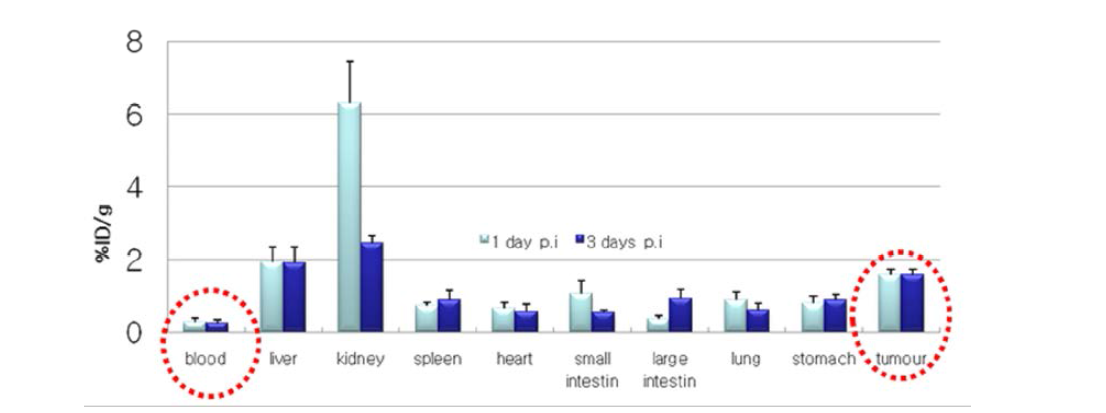 Lu-177-Zevalin의 림프종(Ramos-B) 동물모델에서의 체내 분포 (%ID/g)