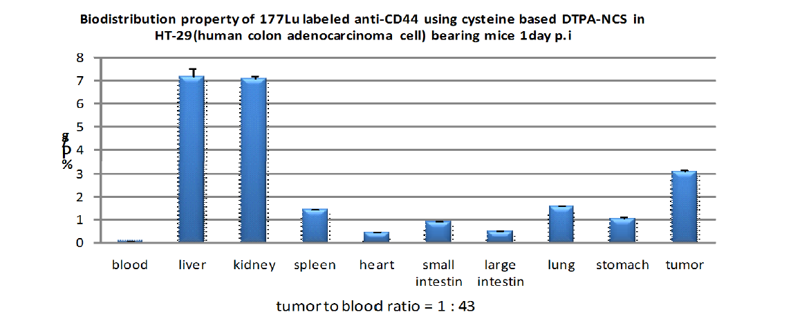 Lu-177-CysDTPA-anti CD44 항체의 HT-29 대장암 동물모델 체내분포