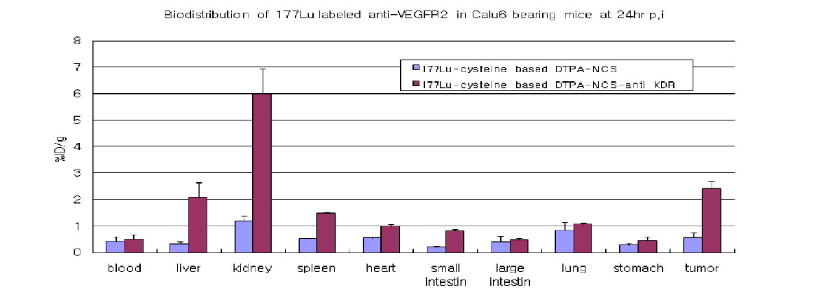 Lu-177-CysDTPA-anti-VEGFR2의 Calu-6 폐암 동물 모델 체내 분포