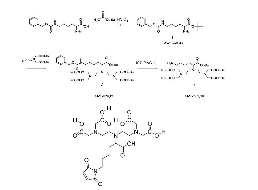 Lysine based DTPA의 합성을 위한 반응 경로