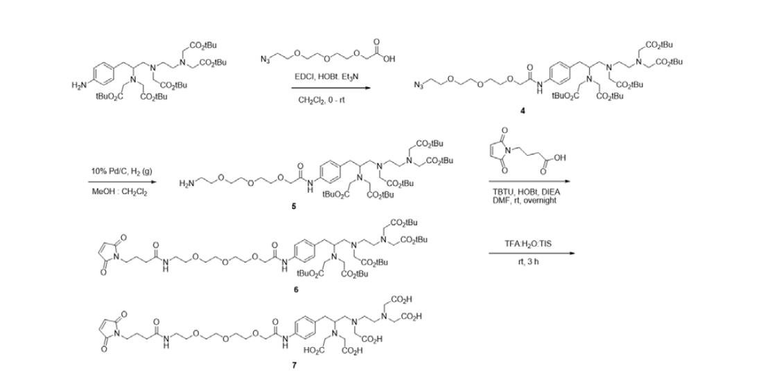 DTPA-PEG4-Maleimide 유도체 합성 절차