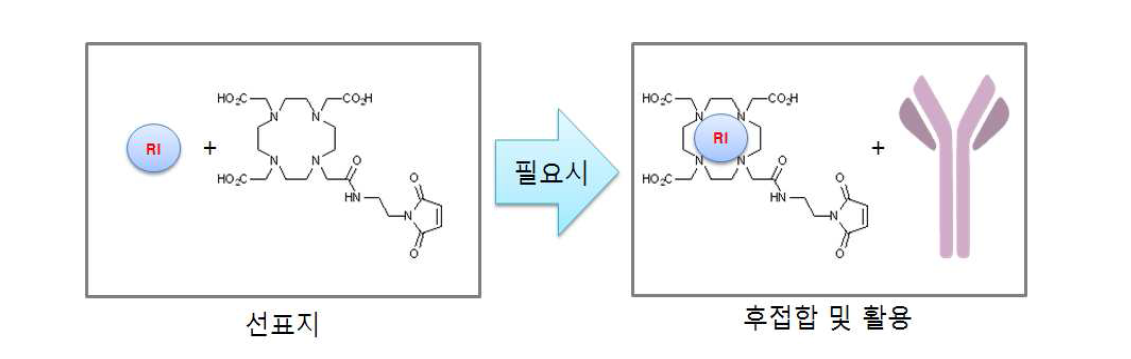 선표지 후접합 모식도