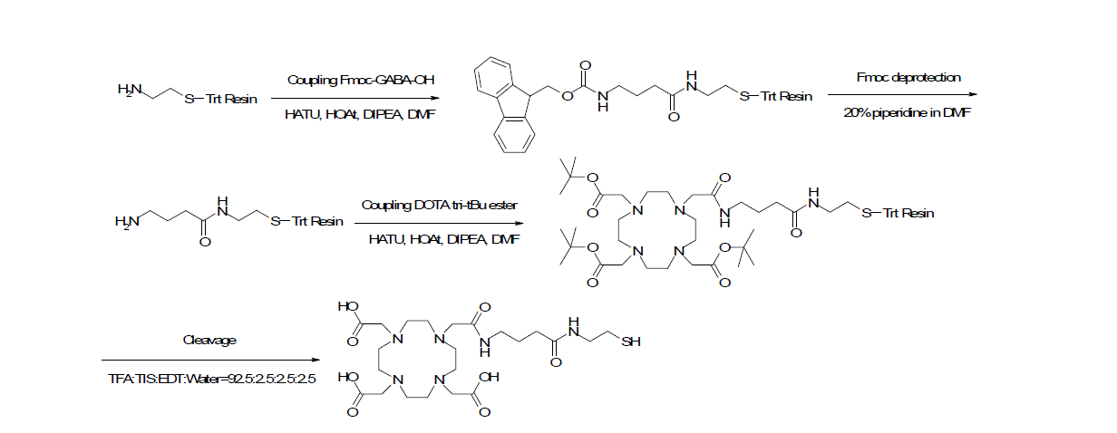 Cysteamide-gamma-aminobutyric acid-DOTA 합성 모식도