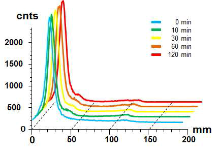동위원소를 표지한 나노입자의 radiochemical purity 확인 그래프