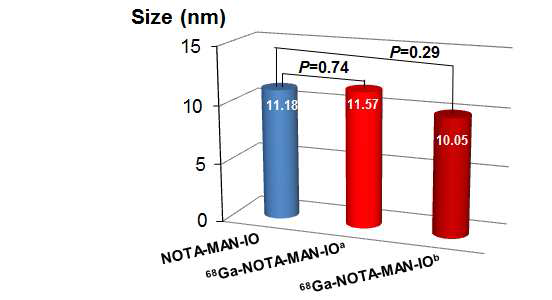 Human serum에서 보관한 Iron oxide 나노입자의 크기 변화 측정