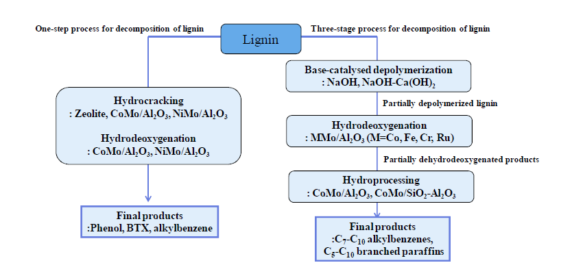 단일단계와 3단계 리그닌 분해 공정도