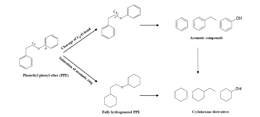 페네틸페닐 에테르의 분해 반응경로
